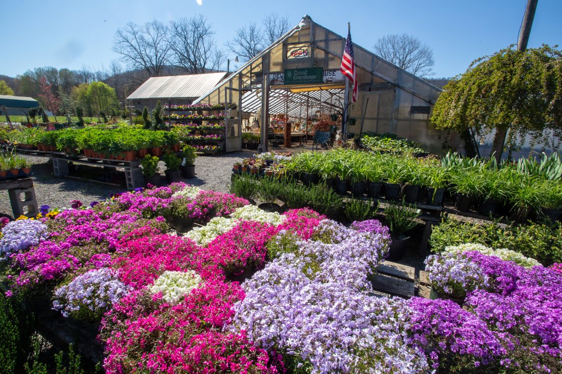 Local home improvement businesses Plan projects ahead, order now